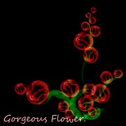 GorgeousFlower